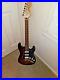Fender_Player_Stratocaster_loaded_body_with_Deluxe_neck_locking_tuners_etc_01_rgto