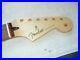 Fender_Players_Stratocaster_Strat_Neck_Pau_Ferro_Fretboard_22_fret_Beauty_01_po