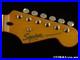 Fender_Squier_Classic_Vibe_50s_Stratocaster_Strat_NECK_w_TUNERS_1950s_MN_Maple_01_xsc