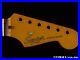 Fender_Squier_Classic_Vibe_60s_Stratocaster_Strat_NECK_Guitar_01_ijim
