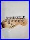 Fender_Squire_Strat_Neck_60_s_Vibe_Rosewwood_Mint_With_Fender_Logo_01_hk
