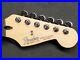 Fender_Standard_Stratocaster_ROSEWOOD_NECK_CHROME_TUNERS_Strat_Electric_Guitar_01_vy