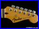 Fender_Standard_Stratocaster_Strat_NECK_TUNERS_Modern_C_Indian_Laurel_01_xssq