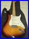 Fender_Starcaster_Electric_Guitar_strat_electric_guitar_01_crow