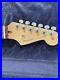 Fender_Stratocaster_American_Professional_2016_Neck_01_fhu