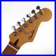 Fender_Stratocaster_Neck_ROAD_WORN_Player_Plus_Series_Pau_Ferro_Fretboard_MIM_01_mc