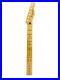 Fender_Telecaster_Neck_Only_22_Frets_01_cft