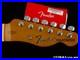 Fender_Vintera_II_60s_RI_Telecaster_Thinline_Tele_NECK_TUNERS_Maple_30_OFF_01_kup