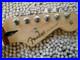 Genuine_Fender_Player_Stratocaster_Strat_Neck_Tuner_Pau_Ferro_22_Fret_Excellent_01_jso