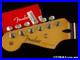 LEFTY_Fender_Player_II_Stratocaster_Strat_NECK_TUNERS_Modern_C_Shape_Rosewood_01_nao