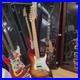 Limited_Edition_Player_Stratocaster_HSS_Plus_Top_Maple_Fingerboard_Sienna_01_csn