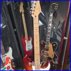 Limited Edition Player Stratocaster HSS Plus Top, Maple Fingerboard, Sienna