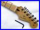 MIM_Genuine_Fender_Strat_Neck_Player_Series_Maple_22_Fret_9_5_Stratocaster_01_ppqj