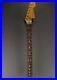 NEW_Fender_American_Professional_II_Stratocaster_Neck_686_01_xe