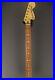 NEW_Fender_Deluxe_Series_Stratocaster_Neck_130_01_gwna