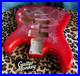 Paisley_Stratocaster_HSH_Alder_Fender_Replacement_Body_Shielded_Cavity_01_jqq