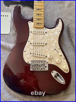 Stratocaster / Partscaster Custom Built Reverse Neck (Maple) Noiseless PU