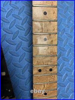 Warmoth Lic By Fender Stratocaster Neck Birdeye Maple